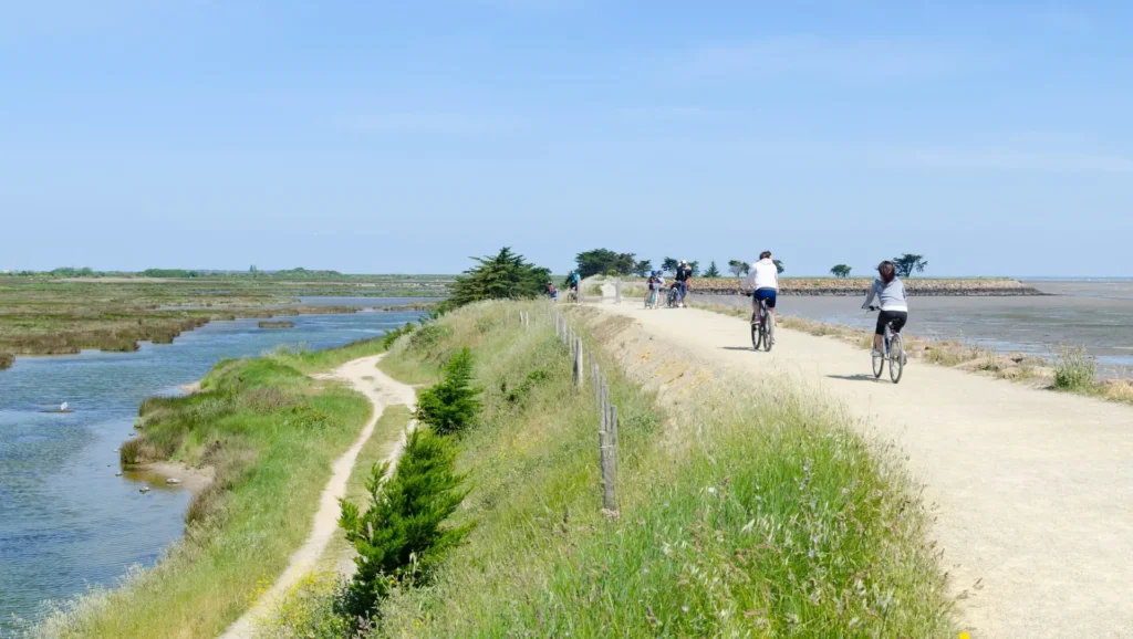 Alentours de Saint-Jean-de-Monts à vélo - Camping les Jardins de l'Atlantique