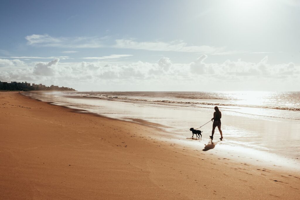 Plage chien Saint-Jean-de-Monts - Camping les Jardins de l'Atlantique